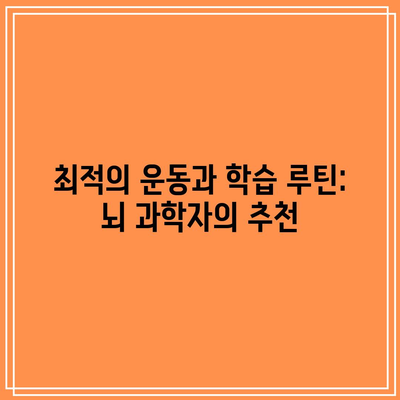 최적의 운동과 학습 루틴: 뇌 과학자의 추천