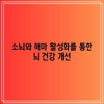 소뇌와 해마 활성화를 통한 뇌 건강 개선