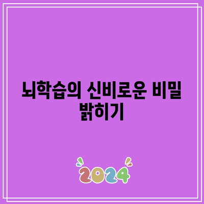 뇌학습의 신비로운 비밀 밝히기