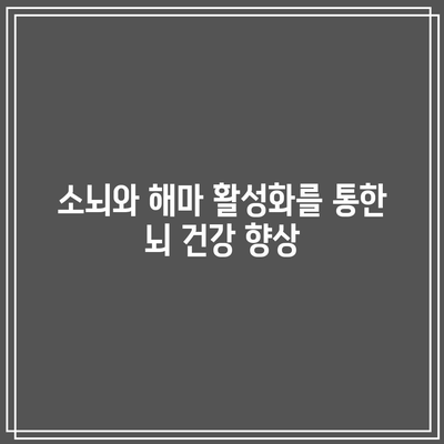 소뇌와 해마 활성화를 통한 뇌 건강 향상