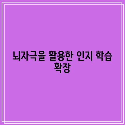 뇌자극을 활용한 인지 학습 확장