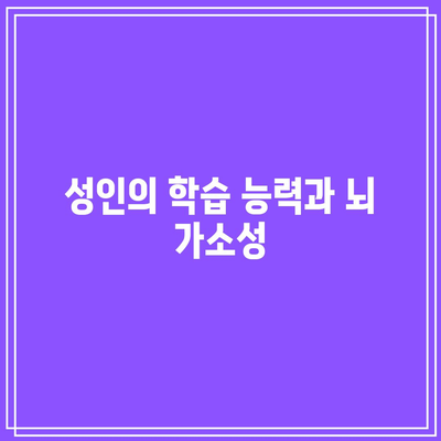 성인의 학습 능력과 뇌 가소성