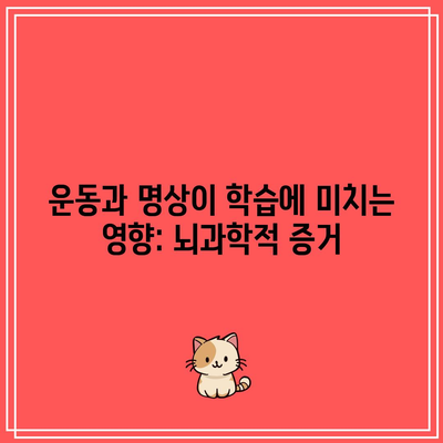 운동과 명상이 학습에 미치는 영향: 뇌과학적 증거