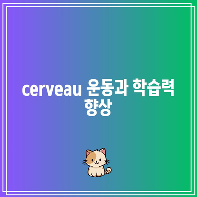 cerveau 운동과 학습력 향상