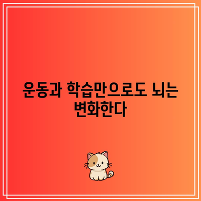 운동과 학습만으로도 뇌는 변화한다