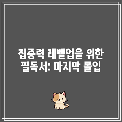 집중력 레벨업을 위한 필독서: 마지막 몰입