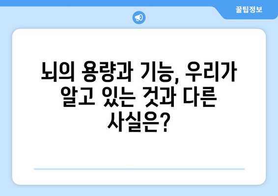 정말로 뇌의 10%만 사용할까?