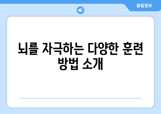 뇌 건강과 학습 능력 강화 팁