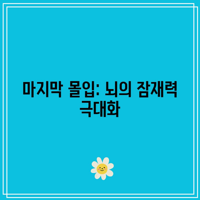 마지막 몰입: 뇌의 잠재력 극대화