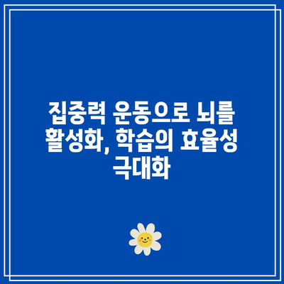 집중력 운동으로 뇌를 활성화, 학습의 효율성 극대화