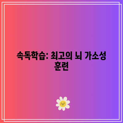 속독학습: 최고의 뇌 가소성 훈련