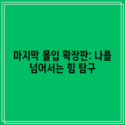 마지막 몰입 확장판: 나를 넘어서는 힘 탐구