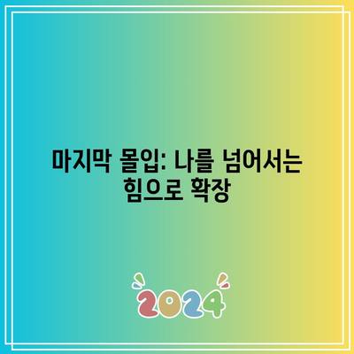 마지막 몰입: 나를 넘어서는 힘으로 확장