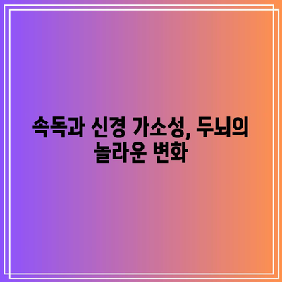 속독과 신경 가소성, 두뇌의 놀라운 변화