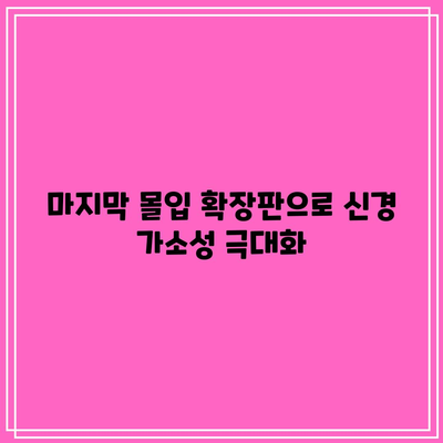 마지막 몰입 확장판으로 신경 가소성 극대화