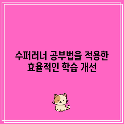 수퍼러너 공부법을 적용한 효율적인 학습 개선