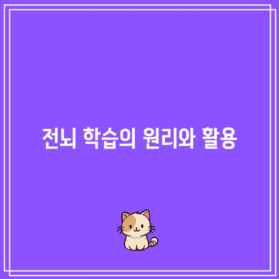 속독 세계전뇌학습아카데미의 최고 수준의 속독 훈련