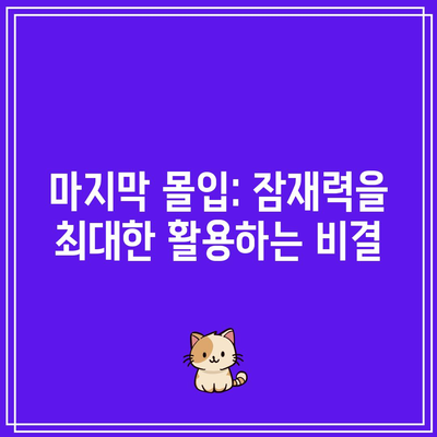 마지막 몰입: 잠재력을 최대한 활용하는 비결