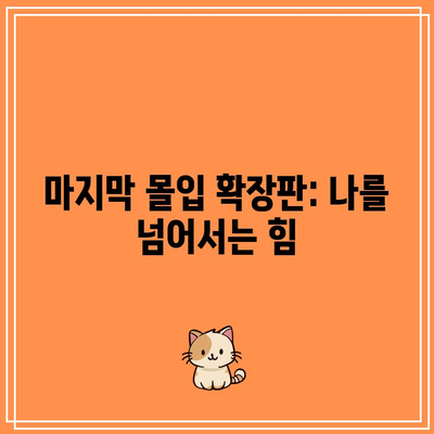 마지막 몰입 확장판: 나를 넘어서는 힘