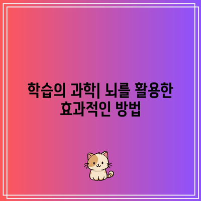 짐 퀵의 마지막 몰입: 뇌를 활용한 학습의 대변혁