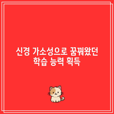 신경 가소성으로 꿈꿔왔던 학습 능력 획득