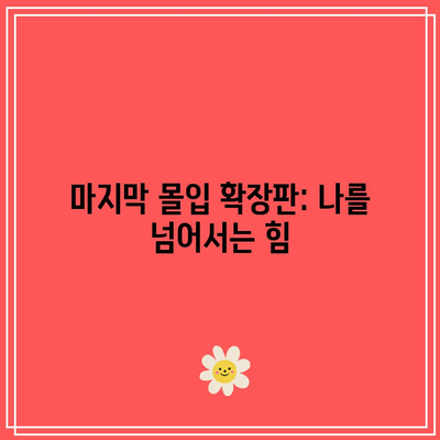 마지막 몰입 확장판: 나를 넘어서는 힘