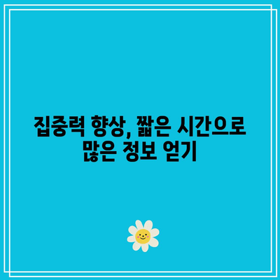 원더풀 브레인 책소개: 5분 안에 책 1권 읽기