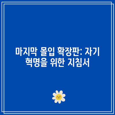 마지막 몰입 확장판: 자기 혁명을 위한 지침서