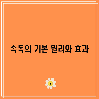 속독의 세계: 세계전뇌학습아카데미