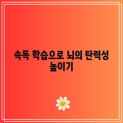 속독 학습으로 뇌의 탄력성 높이기