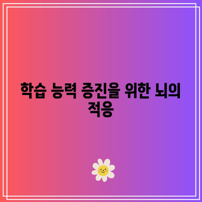속독학 완료 후 뇌 조직의 변화