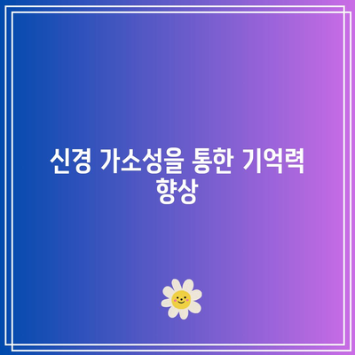 신경 가소성 활용한 두뇌 개발법