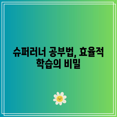 슈퍼러너 공부법, 효율적 학습의 비밀