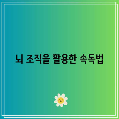 뇌 조직을 활용한 속독법