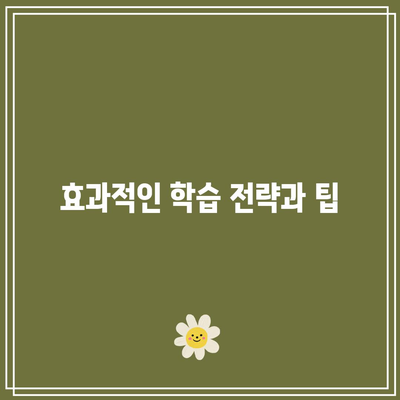 속독을 위한 세계전뇌학습아카데미 추천