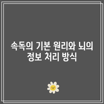 속독과 뇌 활용의 과학적 관계