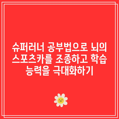 슈퍼러너 공부법으로 뇌의 스포츠카를 조종하고 학습 능력을 극대화하기