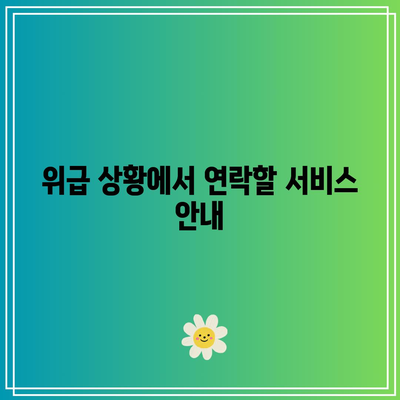 위급 상황에 대비한 KB다이렉트 자동차보험 전화번호 확인하기