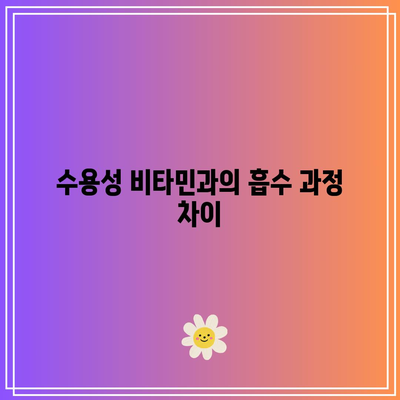 지용성 비타민: 수용성 비타민과의 중요한 차이점