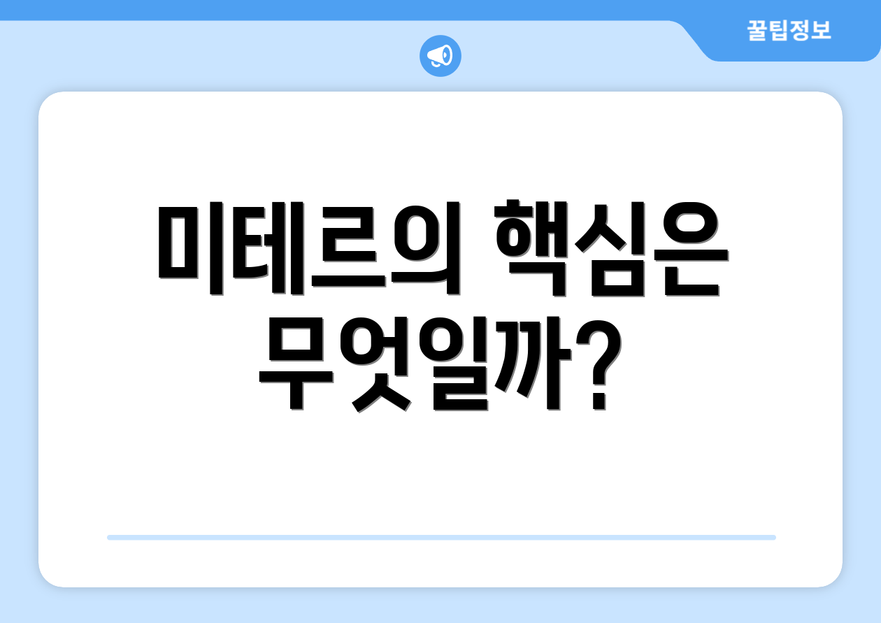 미테르의 핵심은 무엇일까?