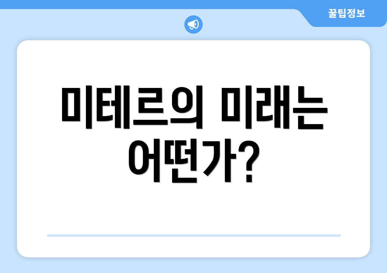 미테르의 미래는 어떤가?