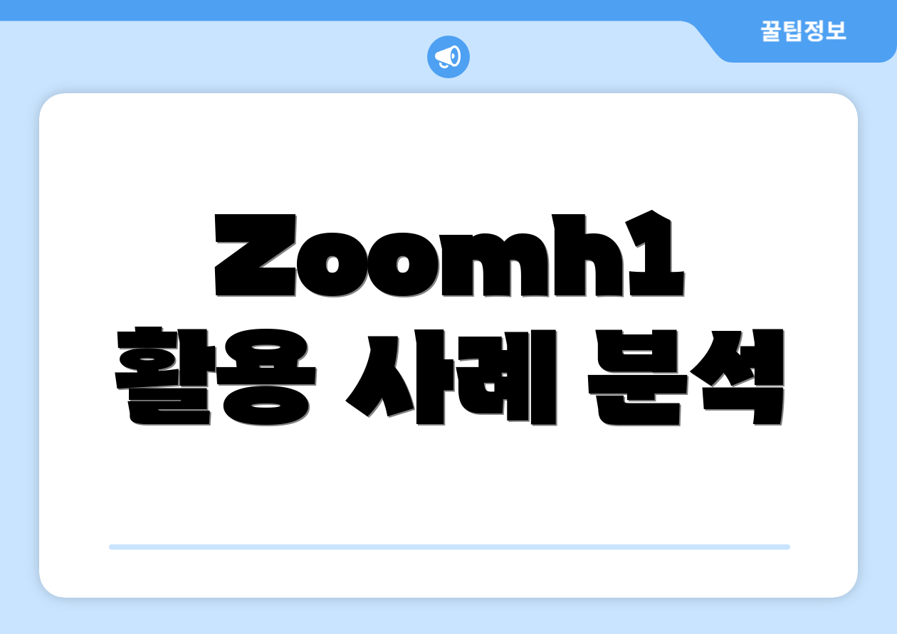 Zoomh1 활용 사례 분석