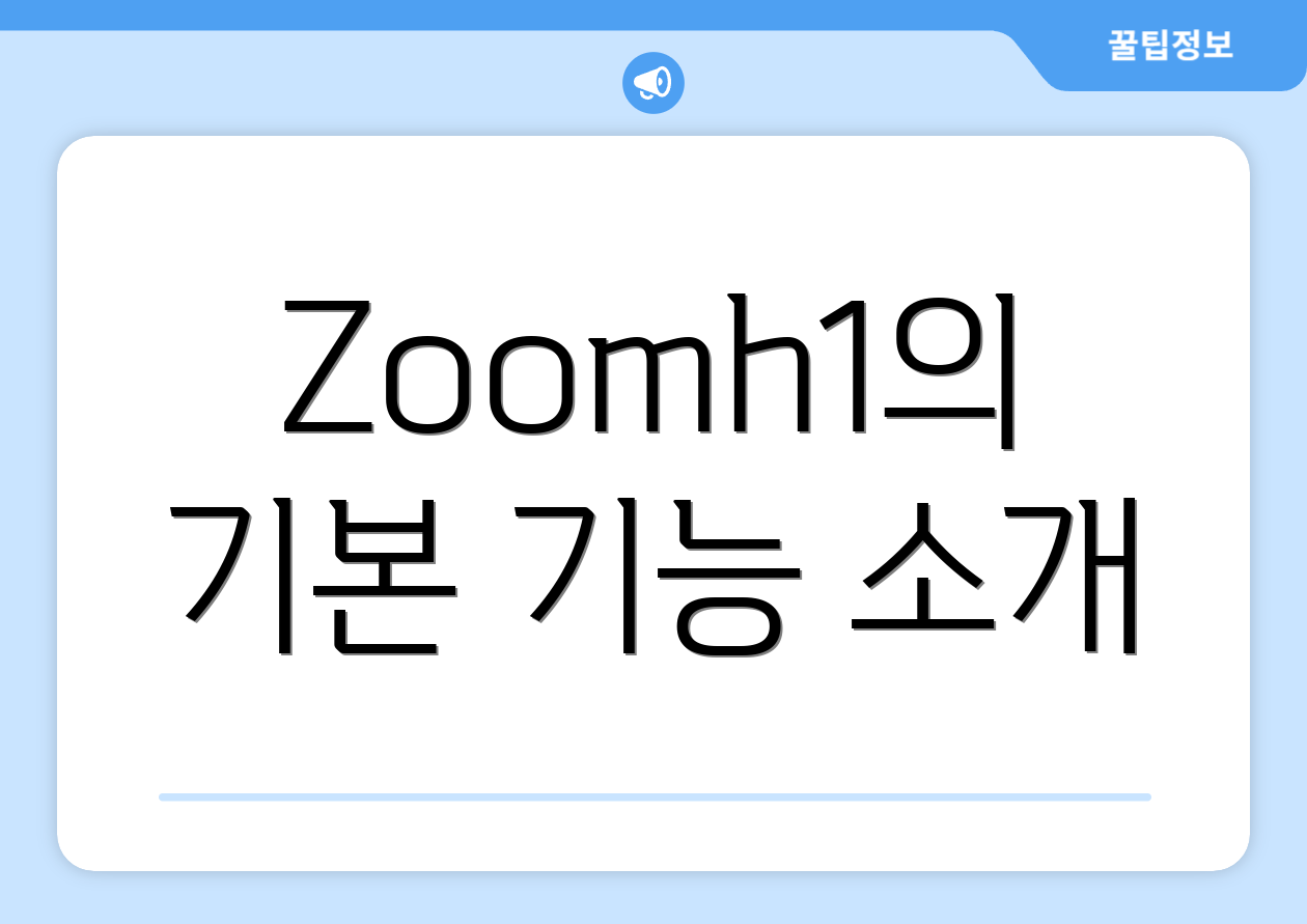 Zoomh1의 기본 기능 소개