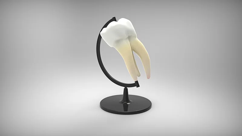 치과 보험 적용 항목
