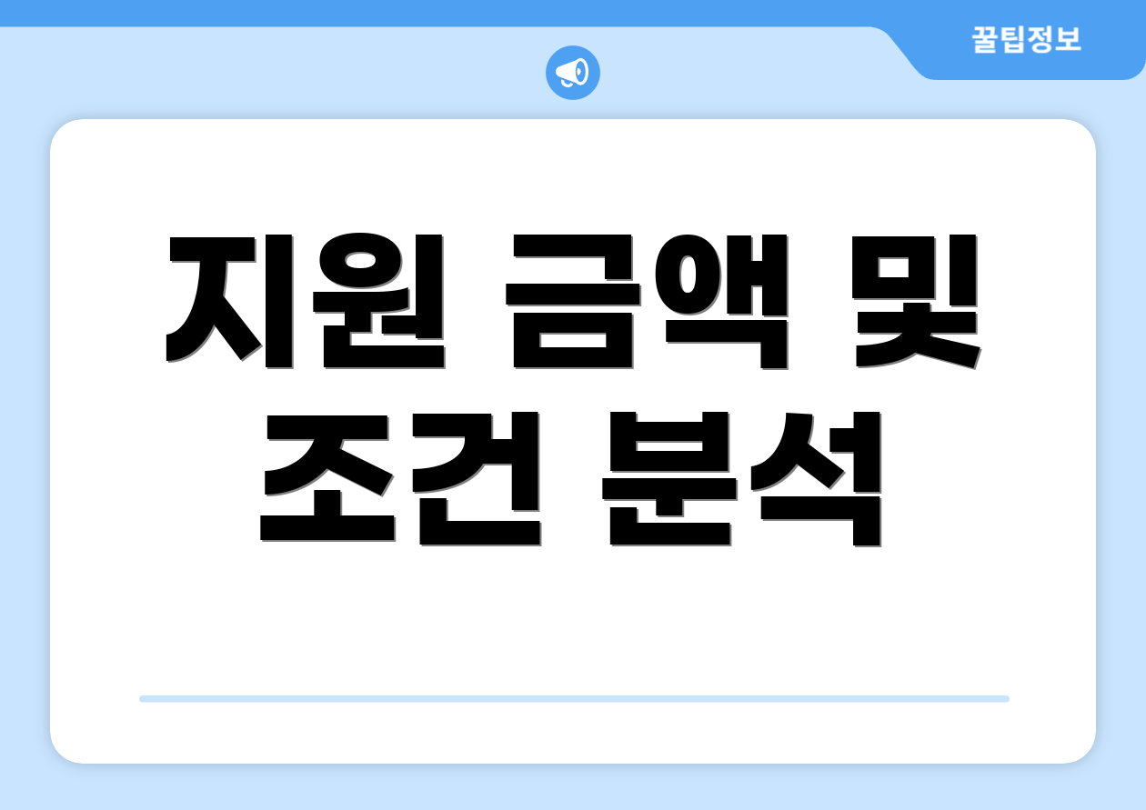 지원 금액 및 조건 분석