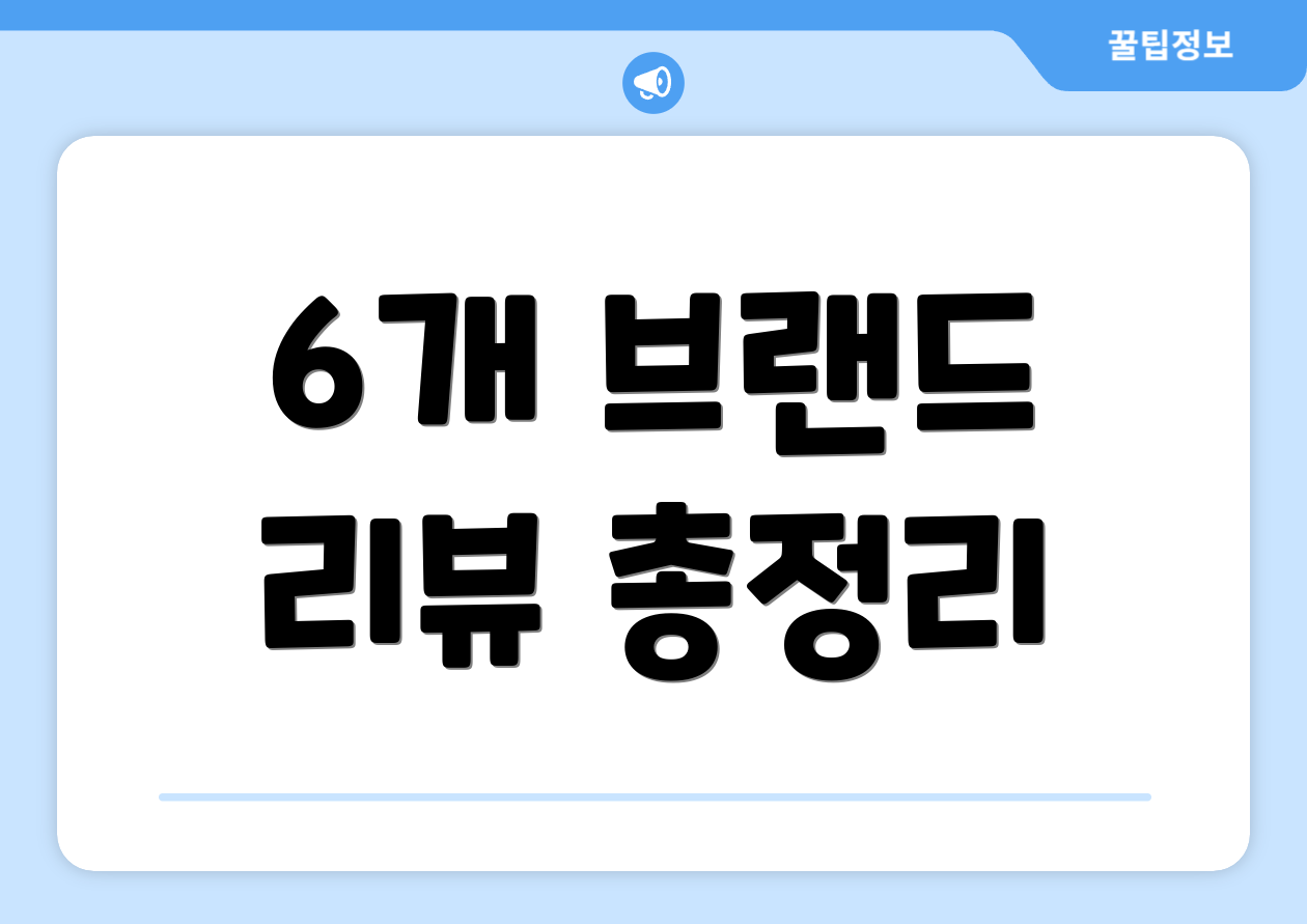 6개 브랜드 리뷰 총정리