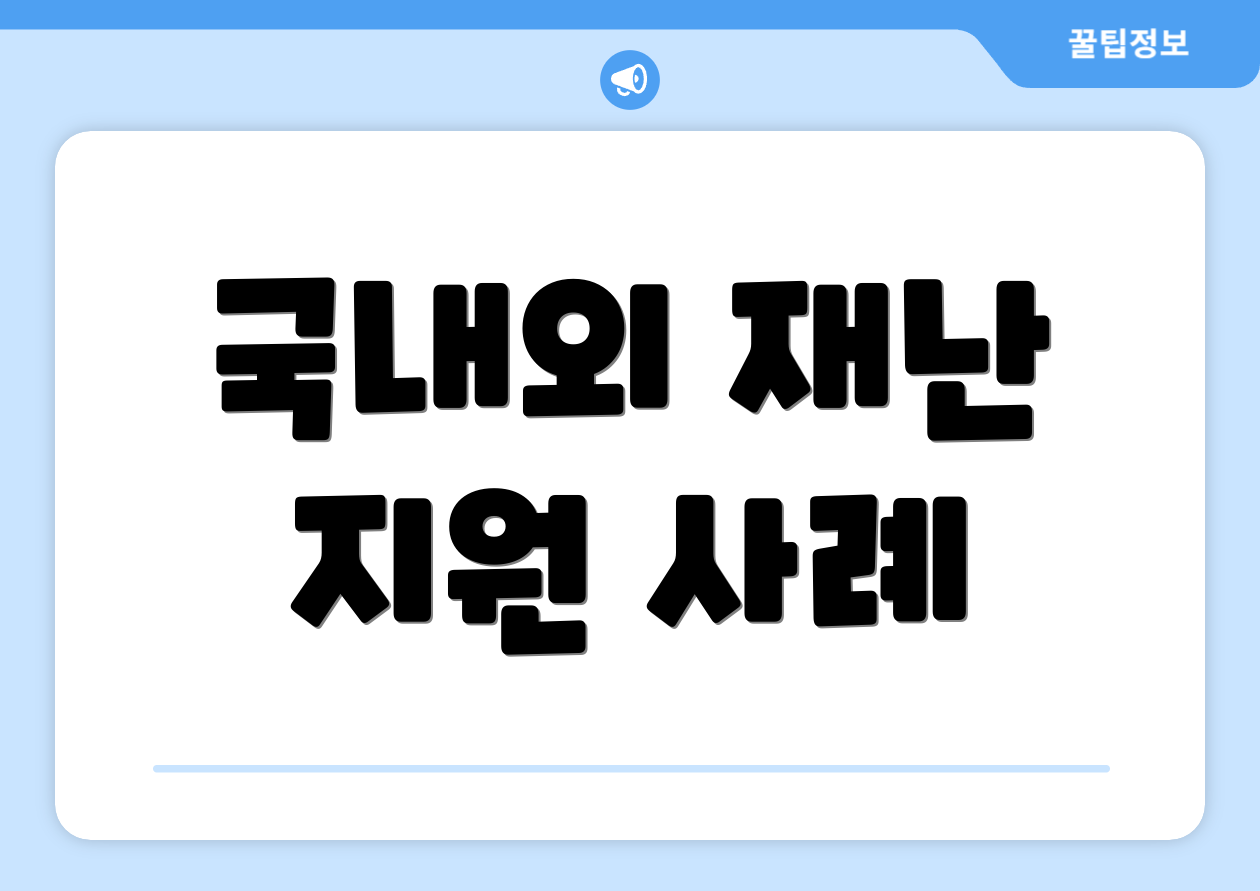국내외 재난 지원 사례