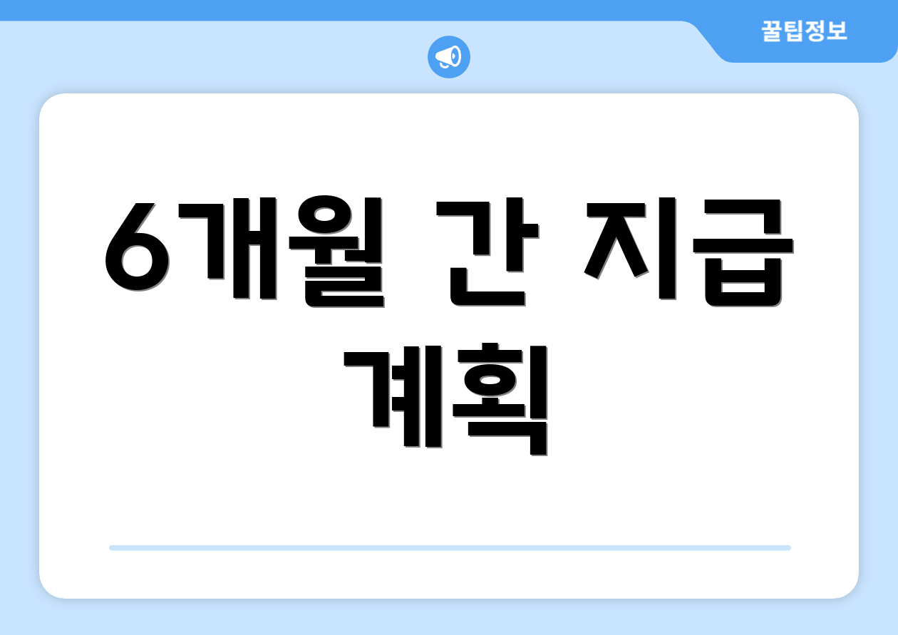 6개월 간 지급 계획
