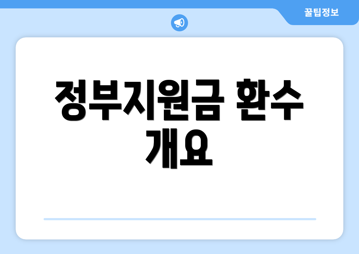 정부지원금 환수 개요
