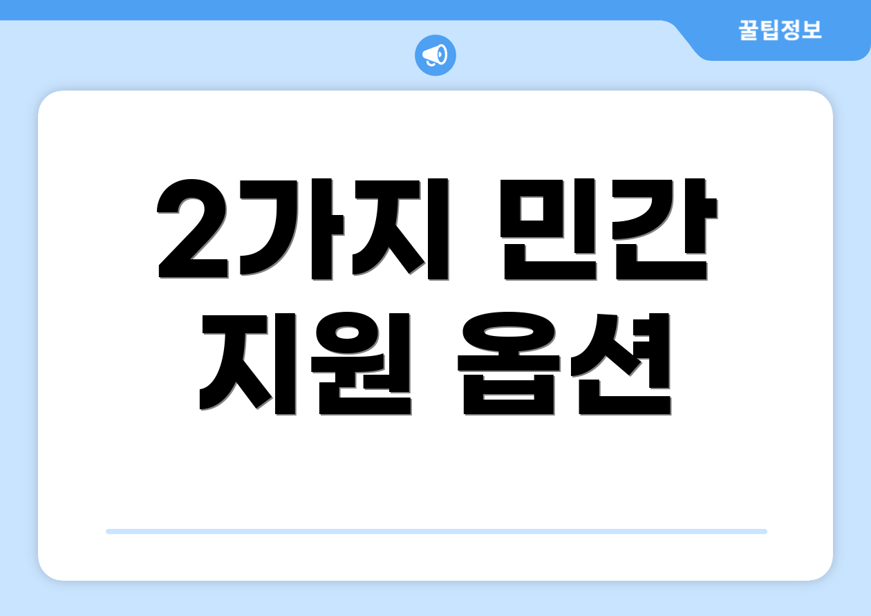 2가지 민간 지원 옵션